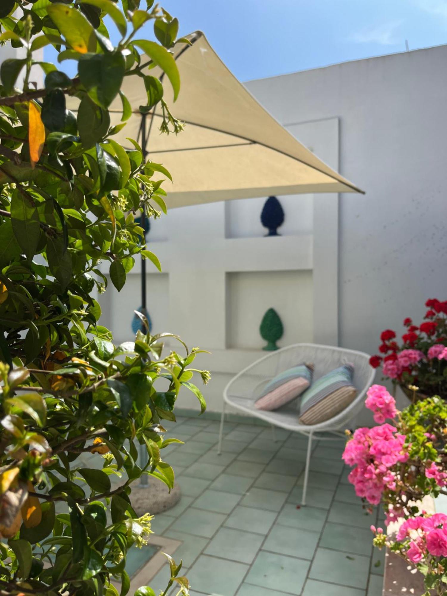 Hotel Sorrento Olive Tree Garden Zewnętrze zdjęcie