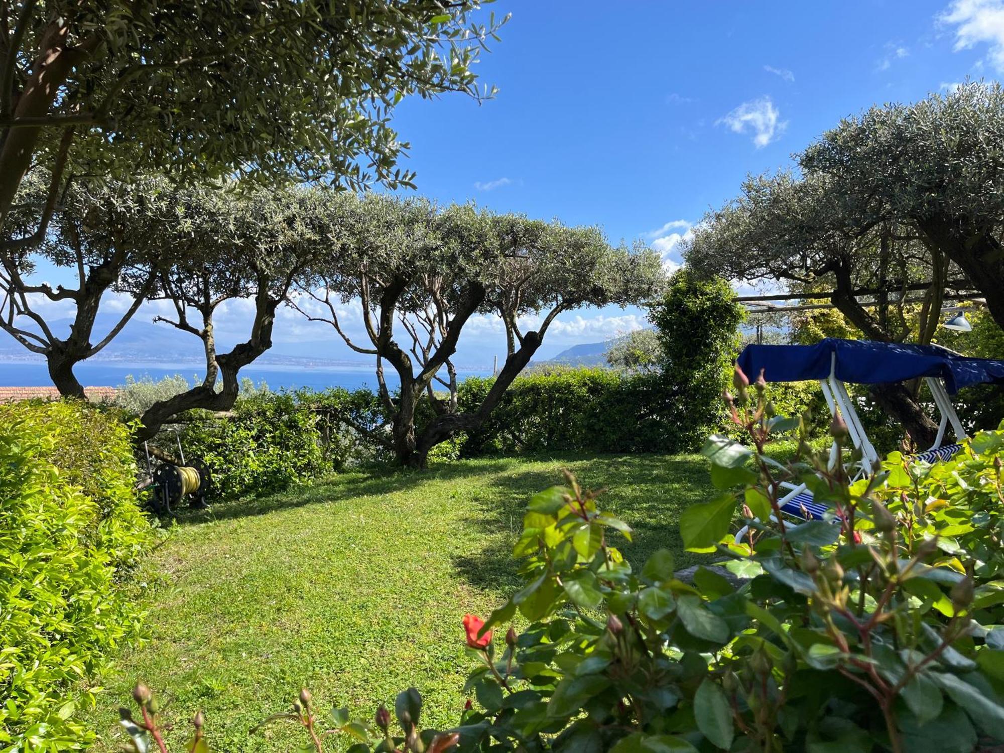 Hotel Sorrento Olive Tree Garden Zewnętrze zdjęcie