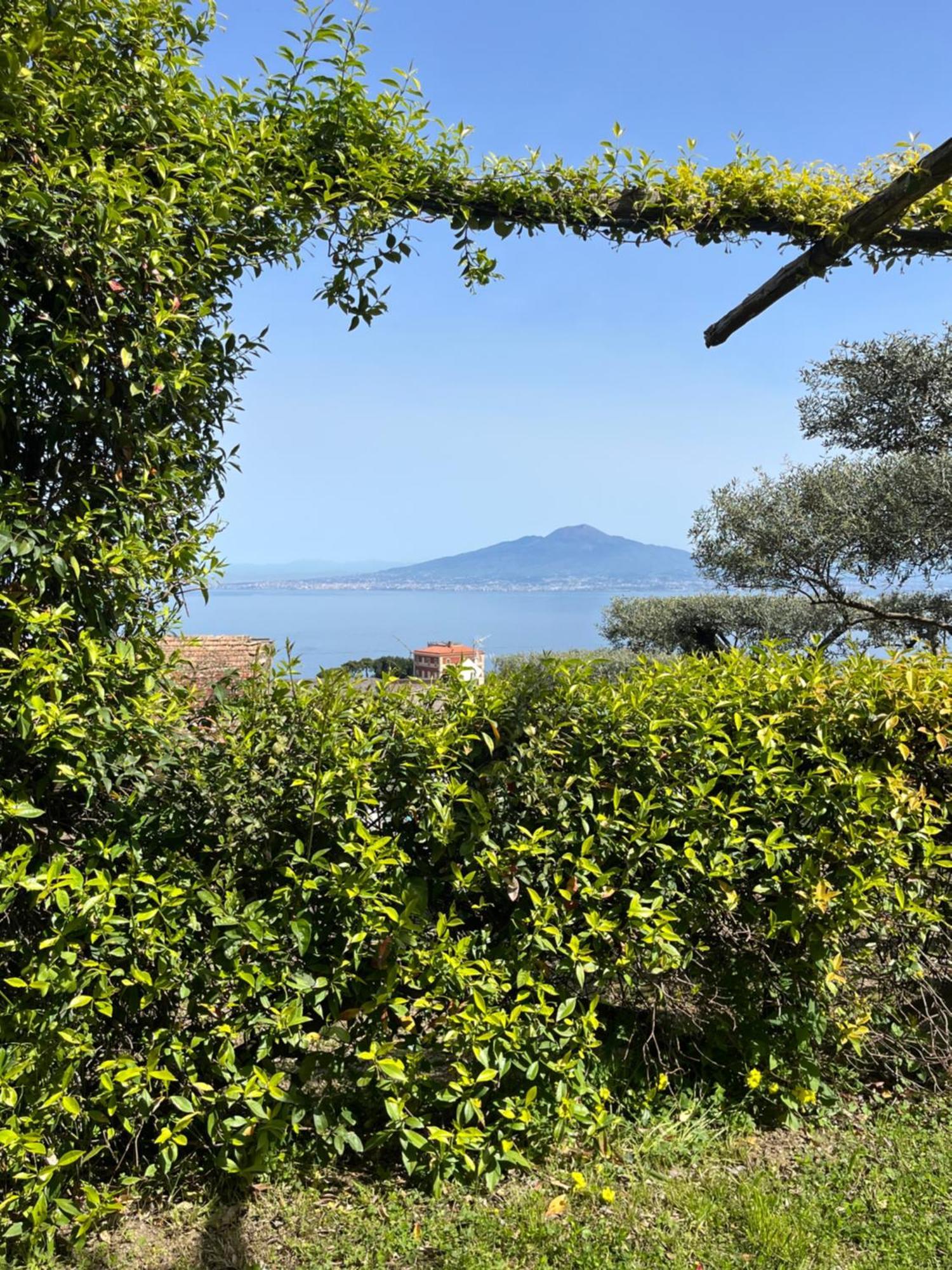 Hotel Sorrento Olive Tree Garden Zewnętrze zdjęcie