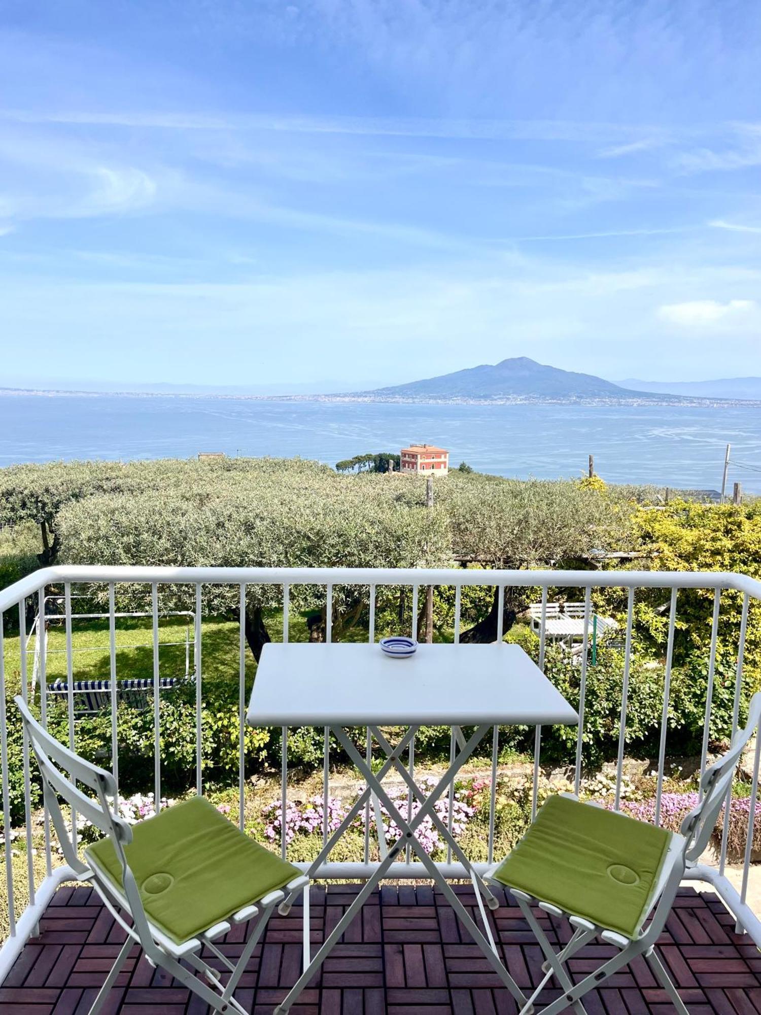 Hotel Sorrento Olive Tree Garden Zewnętrze zdjęcie